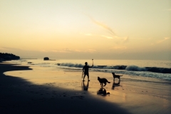 Outdoor Kayu Resort For Sale Purchase Business El Salvador La Libertad Sunzal Surf Break Dogs Beach