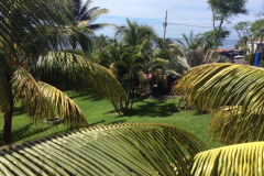 Outdoor Kayu Resort For Sale Purchase Business El Salvador La Libertad Sunzal Surf Break Garden 2